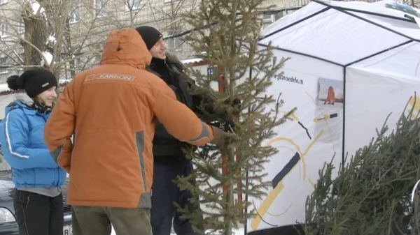 Более 44,5 тысячи ёлок отправили на переработку в Москве